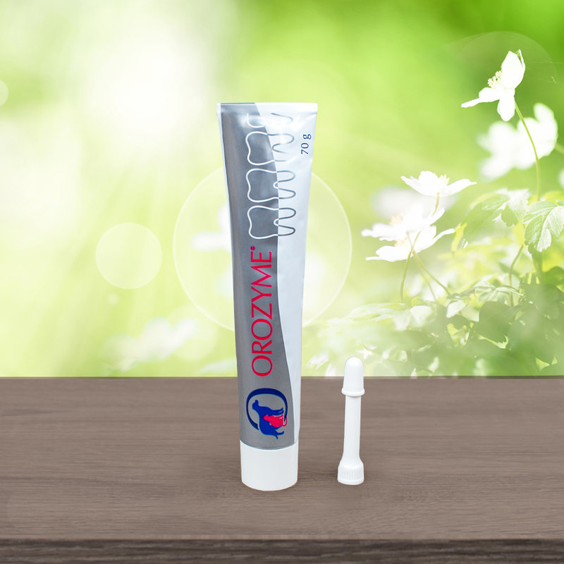 emmipet toothpaste